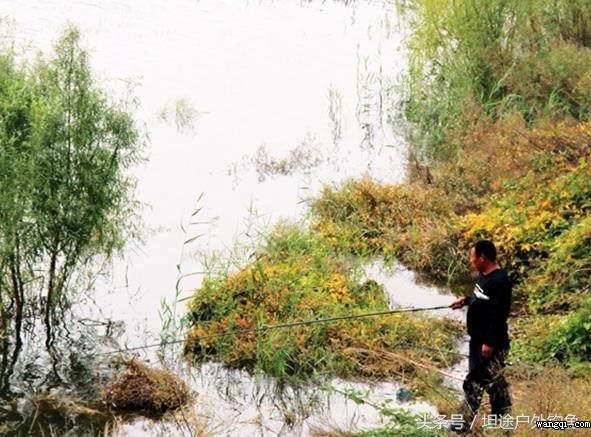 秋季野外釣魚如何打窩，掌握這些技巧窩到魚來
